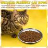 imageDomensi 12 Pieces Stainless Steel Whisker Friendly Cat Bowl Shallow Cat Food Dish 67 Inch Wet Feeding Bowls Flat Pet Dish Small Pet Plate for Kittens Ferrets Stray67 Inch