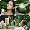 imageDomensi 72 Pcs 2 oz Glass Jars with Lids Travel Size Round Leakproof Empty Cosmetic Jars with Inner Liners Lid for Storing Makeup Lotions Face Cream Ointments Candle DIY Making BlackOlive Green