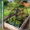 image:imageDomensi 4 Pcs Summer Pop Up Gardening Net Cover 335 x 335 x 37 Inch Pop up Mesh Plant Cover with 16 Ground Stakes for Vegetable Fruit Flower Plant Protectors from Animals Plant Tent Popup Greenhouse